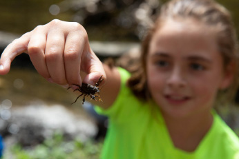 A young girl in a green shirt holding an insect at arms length.