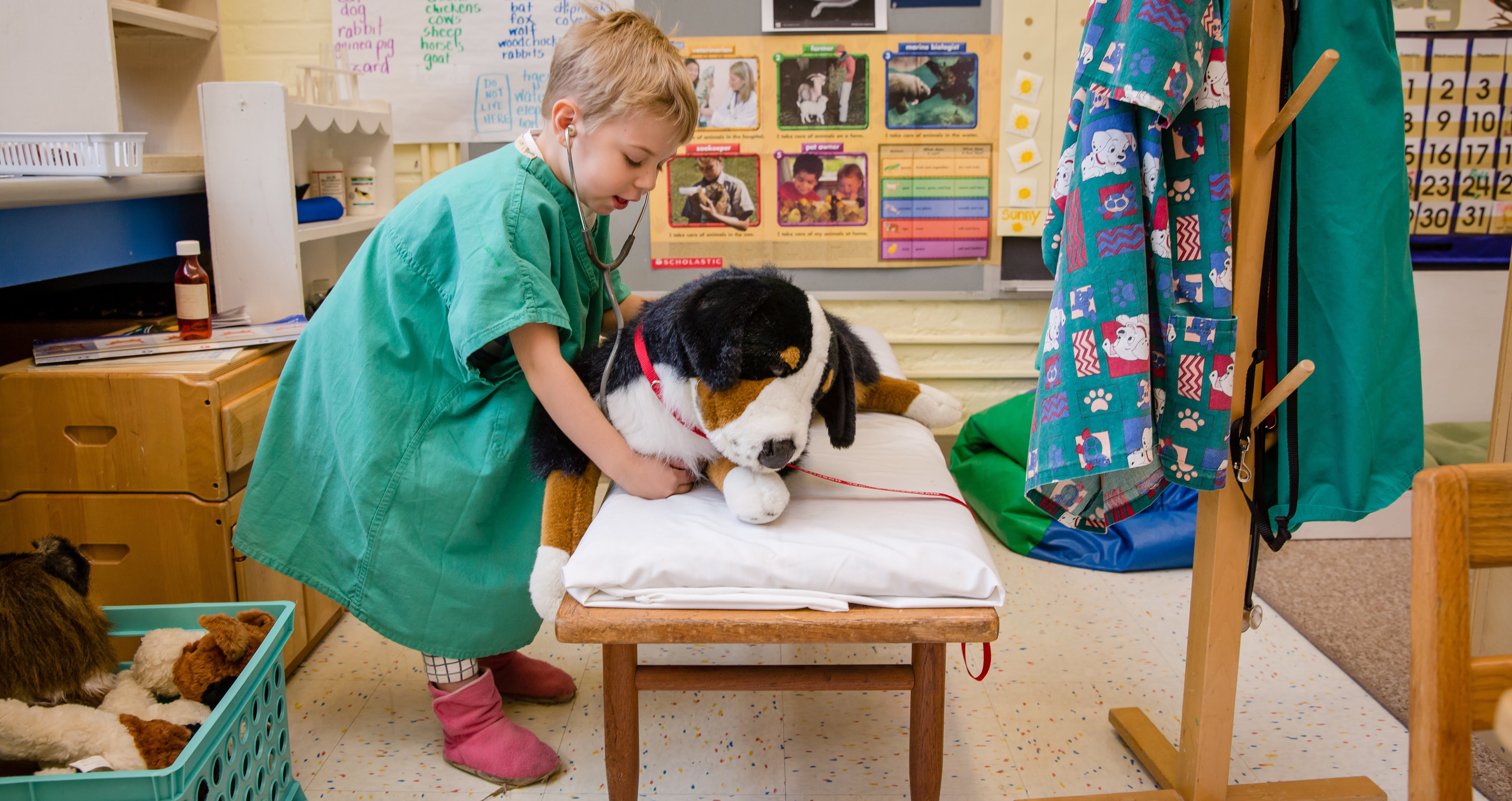 A student wearing scrubs examines a stuffed animal with a stethescope
