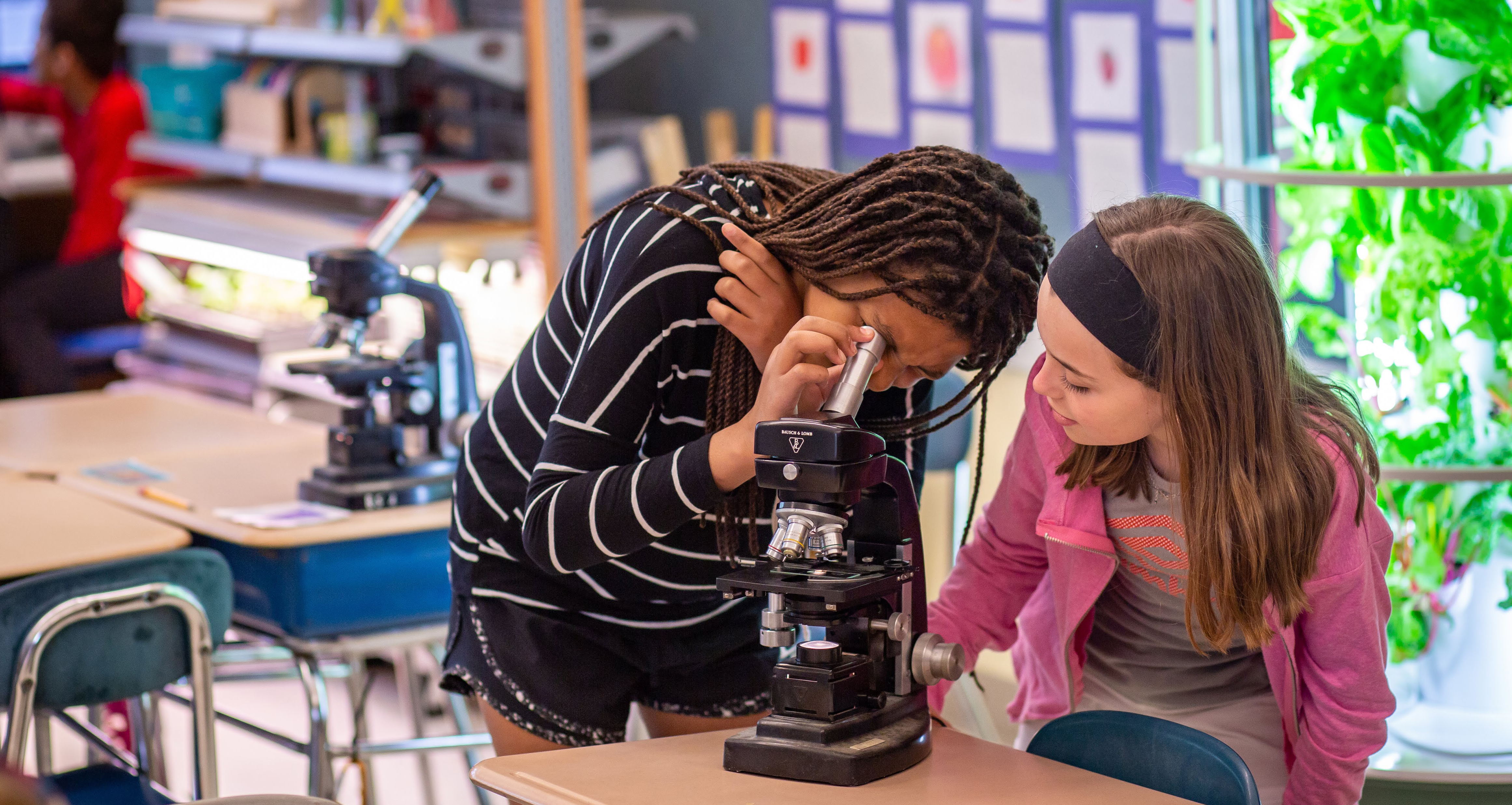 students using a microscope